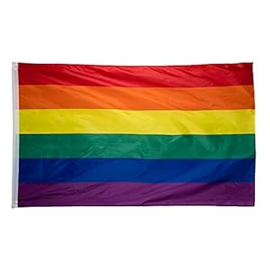 Storm&Lighthouse Regenboogvlag Gay Pride-Vlag Banner 90x150cm LGBT Gay Pride Homosexuell Lesbische Festival…