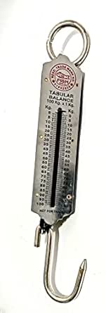AccuWeigh Fish 100kg Spring Balance Stainless Steel Dial (Heavy ...