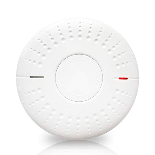 Combination Smoke and Carbon Monoxide Detector Alarm 10 Year Battery Operated for Home