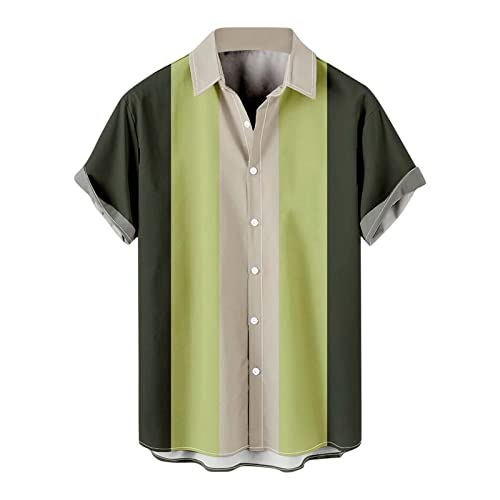 Chemise hawaïenne homme à manches courtes et col rabattu pour l'été