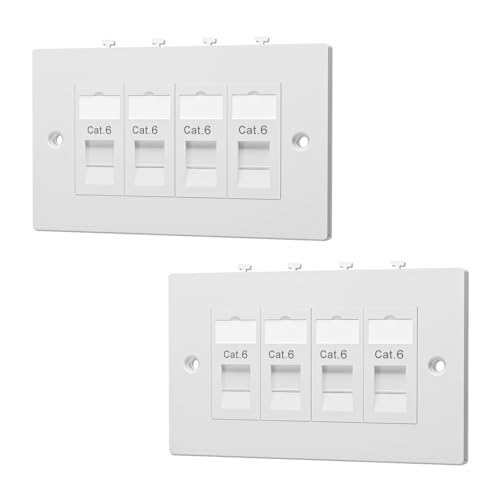 FGB Ethernet Faceplate Wall Plate, Double Socket Quad Port RJ45 Wall Socket for CAT6/CAT5E/CAT5 Network Cable with Keystone Jacks, 2 Pack