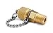 Ralston Instruments QTFT-2MB0 1/4" male NPT x male Quick-test Brass Fitting with Cap and Chain
