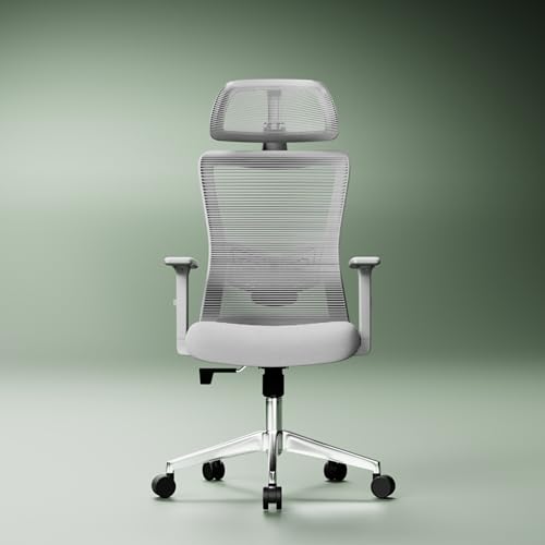 Image of Rocknova Ergonomic Office Chair for Work | 5 Year Warranty | Multi-Lock Auto-Adapt Recline | 1D Armrest | Adjustable Lumbar (D86 Grey)