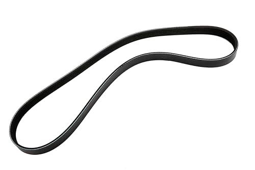 Courroie d'alternateur ACDelco 12634322 d'origine GM pour moteur de voiture