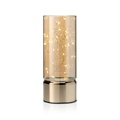 Auraglow Wire Rice Light, Glass Cylinder Battery Lantern - Warm LEDs, in-Built Timer Option - Indoor Fairy String Lamp for Decorative Home Decor - (Medium)