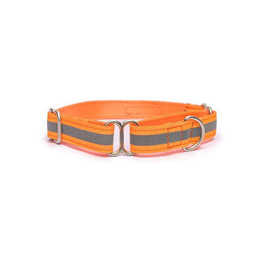 PetWale Reflective Orange Dog Martingale Collar | Comfortable & Secure Fit | No Neck Strains | Durable | Recommended by Trainers | Suited for Small Breeds Like Lahsa, Terrier & More | Size S (B08MFJ9DBP) Amazon Price History, Amazon Price Tracker