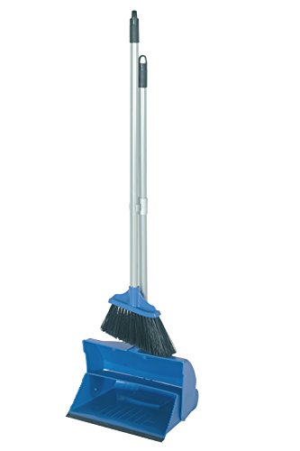 Hillbrush Commercial DP10SETB - Escoba de labios con recogedor ligero, color azul