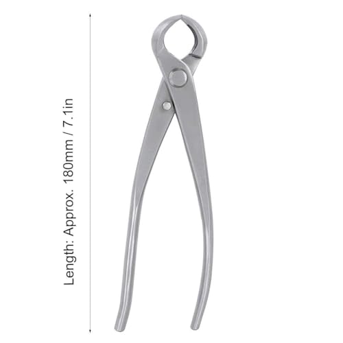 Kit de herramientas para bonsái de acero inoxidable 180mm miniatura 2