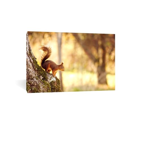 Toile écureuils d'hiver vintage montage animaux cadre 30x45