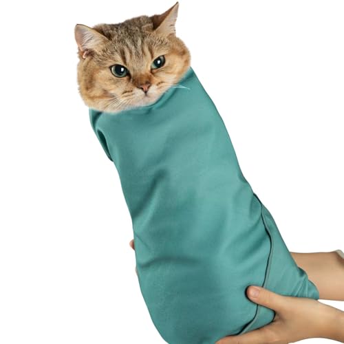 Paw Legend 55.1 cm Lpbv O[~Op Lbv ܐ؂p LS ܐ؂p ȔSuPbg Sz 6|hȓ̔Lp