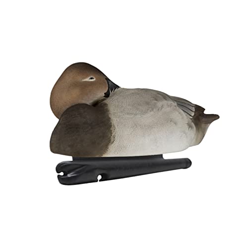 Avian-X Topflight Canvasbacks Durable Ultra Realistic Floating Hunting Duck Decoys, Pack Of 6, Avx8086 #TOP2