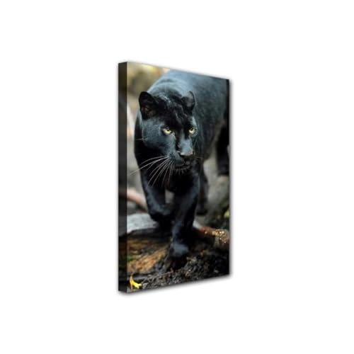 Broderie Diamant Complet Léopard Noir 5D Point de Croix Cristal Géant