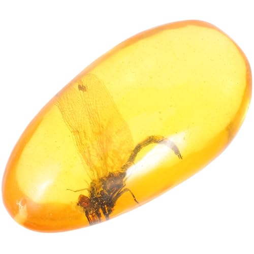 GRIRIW Espécimen de Insecto Ámbar Resina Libélula 8x4 Cm, Piedra de Ámbar Decorativa para Colección Científica y Adorno Educativo Fósiles, Ejemplar Único Coleccionable