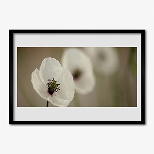 Affiche avec cadre plante de fleurs pour remplacer un mur vide