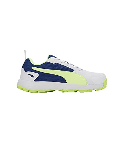 Image of Puma Men Cricket HighRun Cricket Shoe