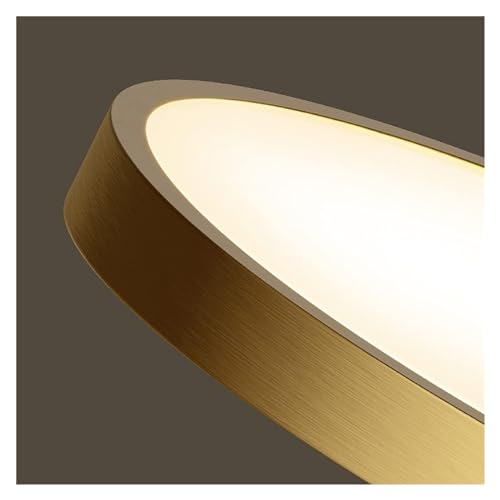 Plafonnier d'intérieur LED pour éclairer une pièce sombre