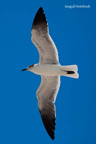 Seagull Notebook: Portable lined Seagull - Travel Journal to write in - 120 pages - 6"x9"