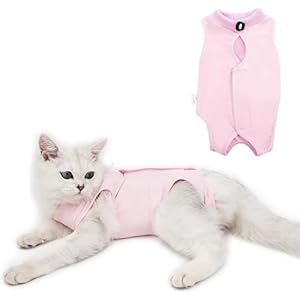 Cat Surgery Recovery Suit for Surgical Abdominal Wounds Home Indoor Pet Clothing E-Collar Alternative for Cats After Surgery Pajama Suit Cat Onesie After Surgery Wear Anti Licking (M, Pink)