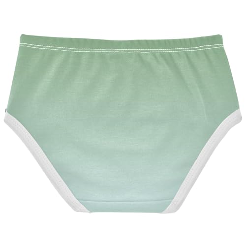 Joisal Artistic Girls Underwear Toddlers 2t Cotton Panties for Girl Dinosaur Green Pale Blue Gradient Briefs Underpants2