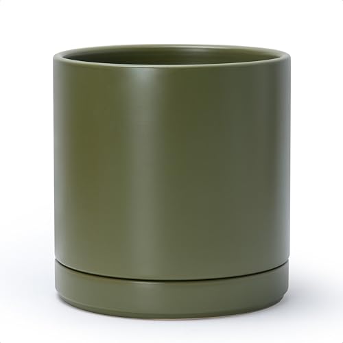D'vine Dev 10 Inch Ceramic Planter Pot with Drainage Hole and Saucer, Indoor Cylinder Round Planter...