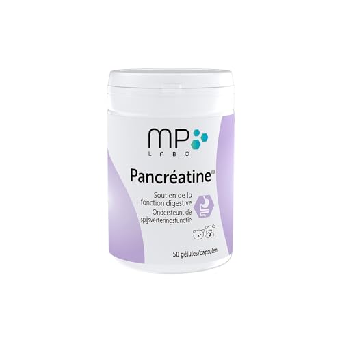 Pancreatine Unterstützung der Bauchspeicheldrüse für Hunde und Katzen Schachtel mit 50 Kapseln
