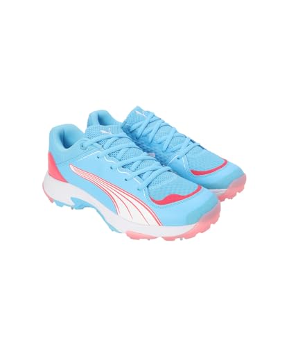 Image of Puma Unisex-Adult Spike 24.1 Cricket Shoe