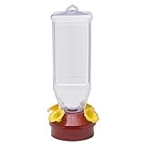 Perky-Pet 201 Lantern Hummingbird Feeder, 18 oz