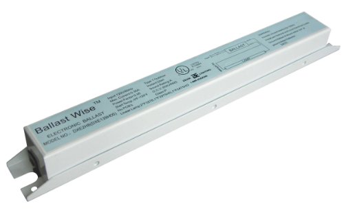 Ballastwise E-Ballast with Wires DXE139HO5