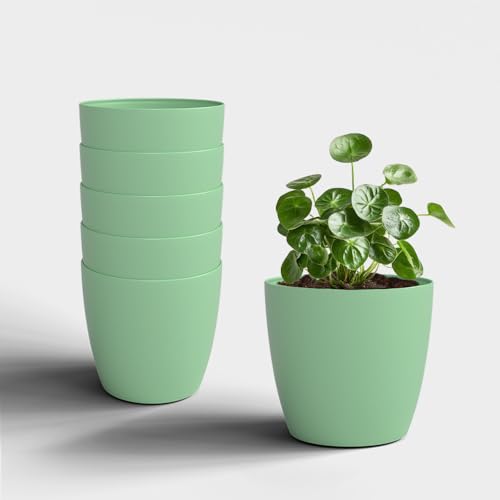 Image of YUCCABE ITALIA SHERA Stella 5 Inch Plastic Plant Pot for Home Decor Indoor Plant Pots for Living Room Plastic Flower Pot for Garden (Aqua, 5 INCH - 6 Pcs)