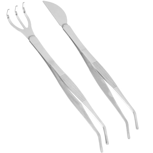 Toyvian Bonsai Werkzeugset Edelstahl Pinzette mit Griff und Kleinem Rechen Flexibles Gartengerät für Moospflege Erdelockerung und Bonsaipflege Leicht und Ergonomisch für Anfänger und Toyvian Bonsai Werkzeugset Edelstahl Pinzette mit Griff und Kleinem Rechen Flexibles Gartengerät für Moospflege Erdelockerung und Bonsaipflege Leicht und Ergonomisch für Anfänger und