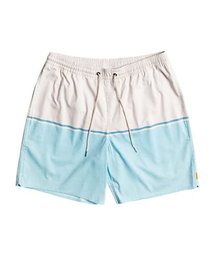 Quiksilver Men's Standard The Deck Stripe Volley 18 Elastic Waist Boardshort Swim Trunk