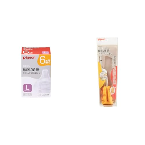 sW   6 L 2 X[Jbg + sW X|WuVyZbgz