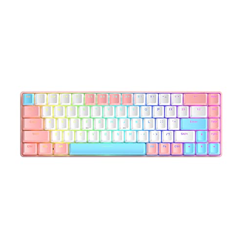 Teclado Mecánico Gamer 60% Dwdzey USB-C RGB
