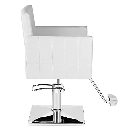 Paddie Hair Stylist Chair For Salon, 360 Degrees Rolling Swivel Barber Chairs All Purpose Beauty Spa Equipment, Max Load Weight 330 Lbs (White) #TOP1