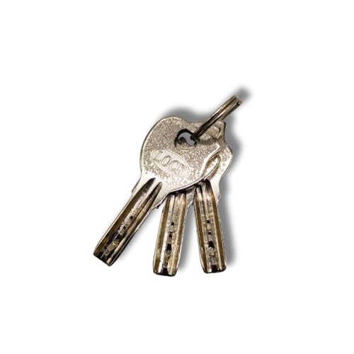 Image of Heavy Duty Keyed Lock | Hardened Steel Shackle Lock | Anti-Rust Security for Gate, Warehouse & Outdoor Use (ALT-46 Silver (80MM))