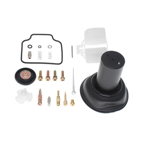 Kit de réparation de carburateur CBX250 pour résoudre les fuites moto