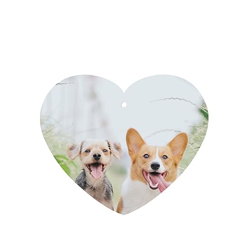 Funny Dog ԗpF p[\iCYꂽXCX J[A}Zs[^ubg ݂艺F܃J[h [vt 4 ԂƂ̑p