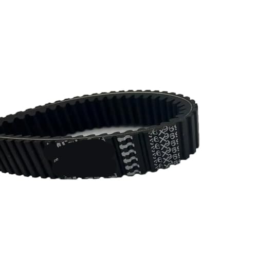Courroie distribution moto remplacement entretien Terralander 800 Efi