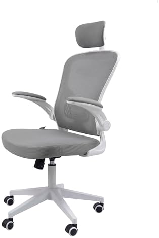 Cadeira Ergonômica Eurynom, Giratória, para Escritório e Hom...