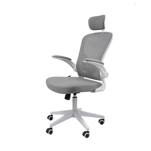 Cadeira Ergonômica Eurynom, Giratória, para Escritório e Home Office, com Encosto Reclinável, Braços Pivotantes, Apoio de Cabeça, Apoio Lombar (Cinza)
