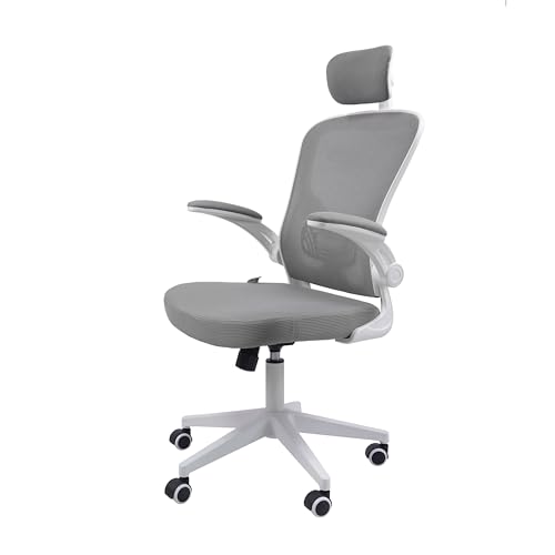 Cadeira Ergonômica Eurynom, Giratória, para Escritório e Home Off...