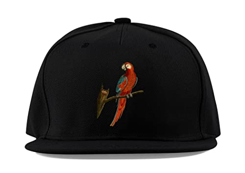 Casquette de baseball en coton de qualité supérieure avec visière plate