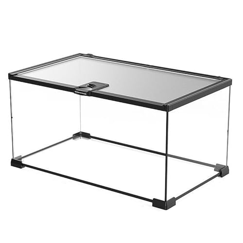 ঒ރP[W P[X gJQ  OXeE glass terrarium for praying mantis  P[X 㕔a e NXebhQbR[ P[W ރ{bNX P[W gJQ/T///nlY~Kp