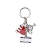 Westmon Works South Carolina Keychain with Charms Metal Key Ring Souvenir of the Palmetto State #3