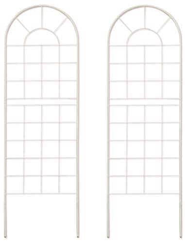 K[fK[f NVbNnCtFX [^Cv 150cm×50cm zCg 2Zbg ACAgX YBIF120CP2P-WHT