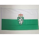 AZ FLAG Flagge Steiermark 150x90cm - Steiermark Fahne 90 x 150 cm - flaggen Top Qualität