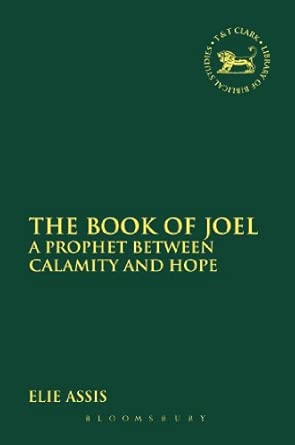The Book of Joel: A Prophet between Calamity and Hope: 581 book cover