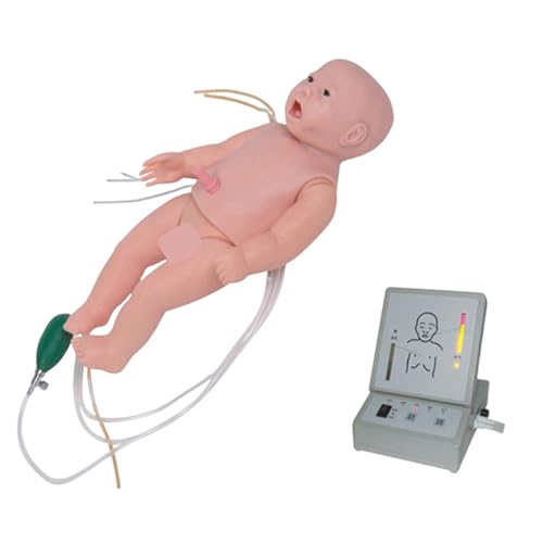 IȐVŌV~[V̗KɓKx̗c CPR эxȃPA g[jO }lLVPA V~[^[