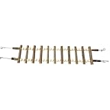 Outil de coordination amélioré : grâce à la conception de l'échelle à oiseaux, il favorise les routines d'exercices quotidiennes, augmente les compétences de coordination et soutient le bien-être physique général. Cela rend le temps de jeu amusant et bénéfique pour votre animal, aide à développer des schémas de mouvement naturels et renforce les capacités motrices de manière ludique.