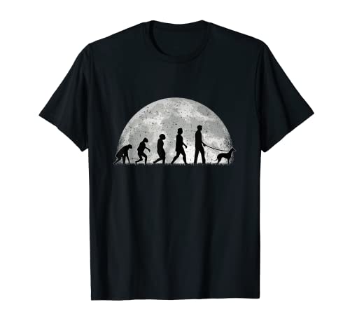 Se possiedi un levriero britannico o un levriero inglese piccolo, questo motivo Whippet Moon Evolution è l'ideale per te.